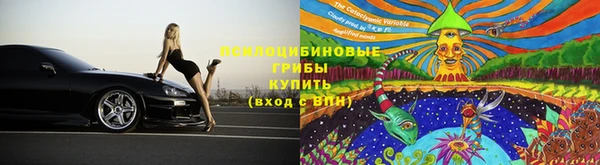 твердый Арсеньев