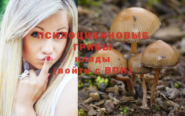 mix Аркадак